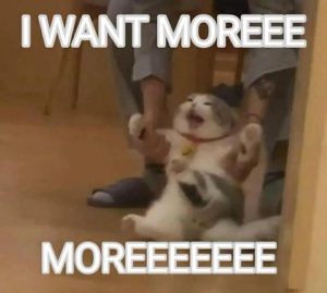 33fa83b7aab3240fbdcc2fc33d9fb5e05d10956b9264eb352962f35179749e6c